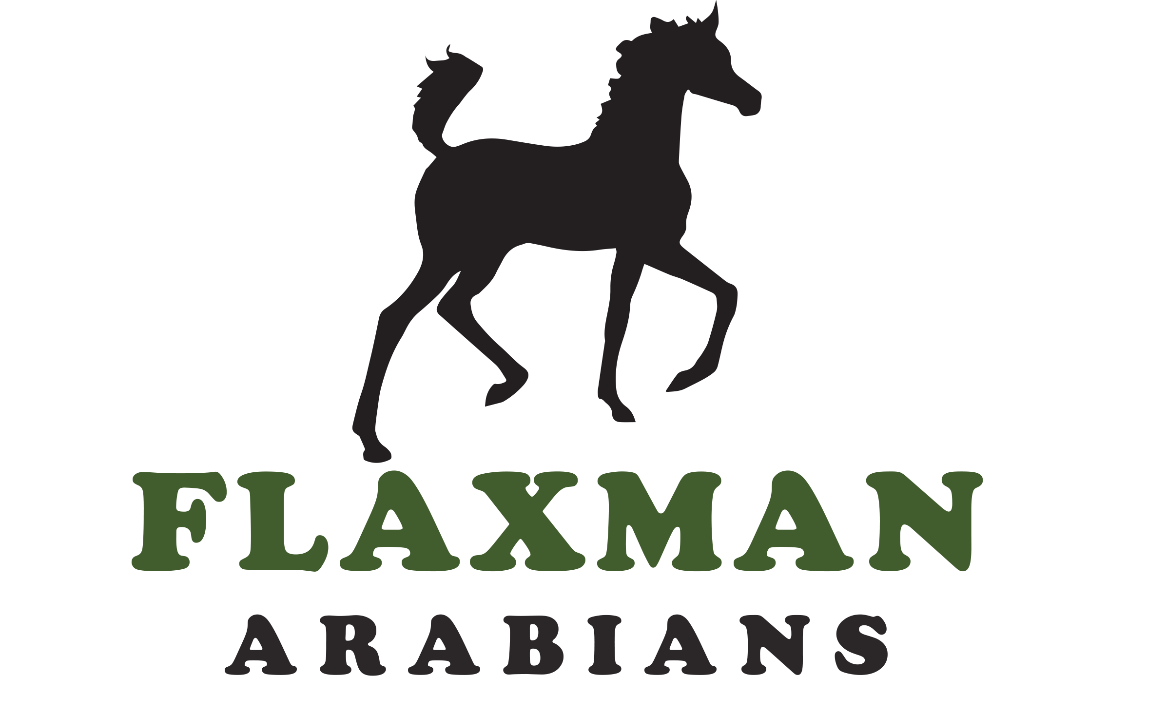Flaxman Arabians
