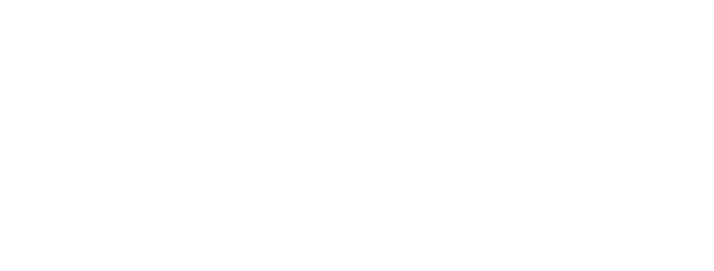 Brugman Arabians